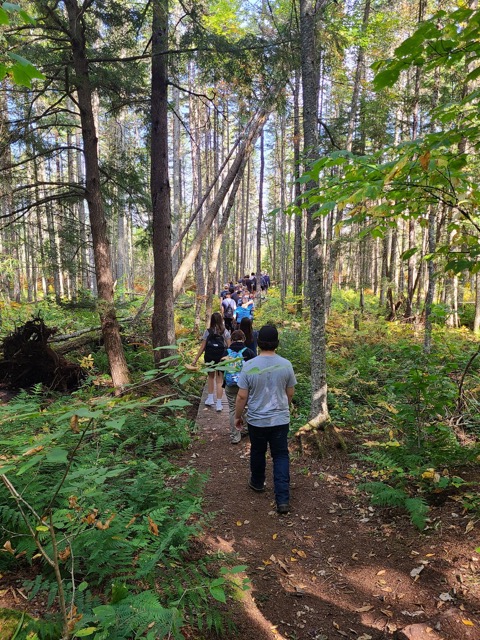 students walk through the woods